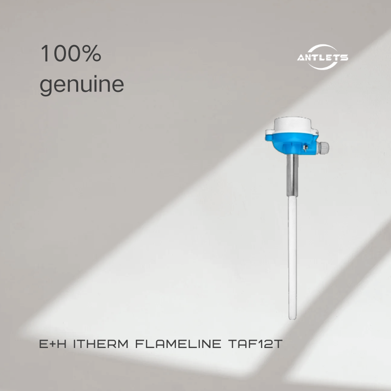 Endress+Hauser iTHERM FlameLine TAF12T High temperature thermometer