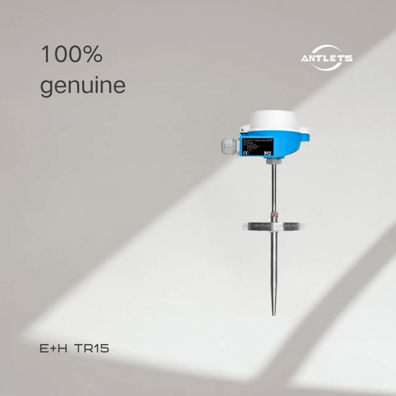 Endress+Hauser  TR15 Modular RTD thermometer