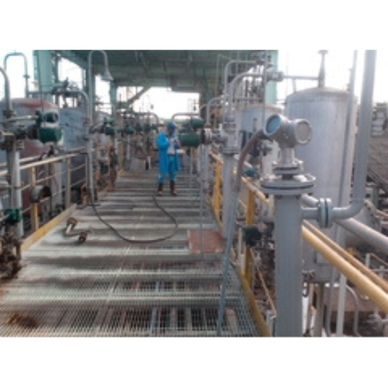 Endress+Hauser Guided radar measurement Time-of-Flight Levelflex FMP55