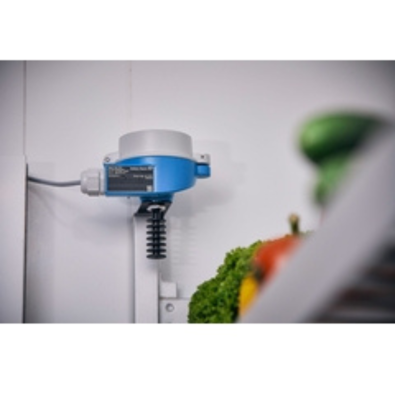 Endress+Hauser iTHERM ModuLine TST434B Industrial modular thermometer