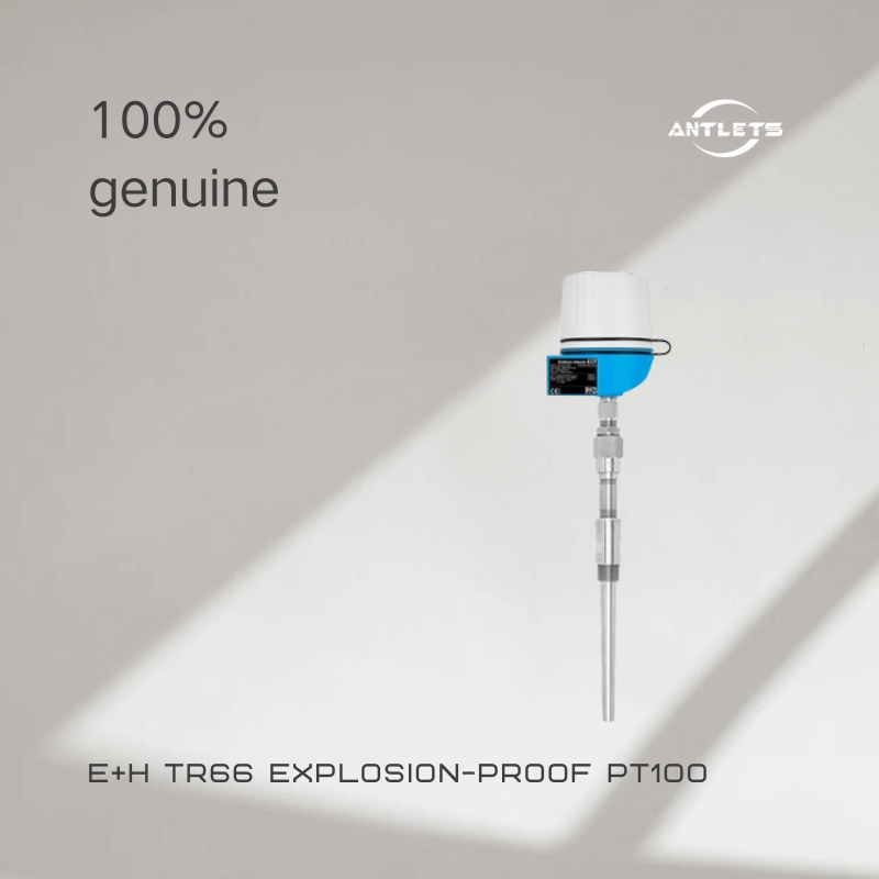 Endress+Hauser TR66 Explosion-proof Pt100 Thermometer