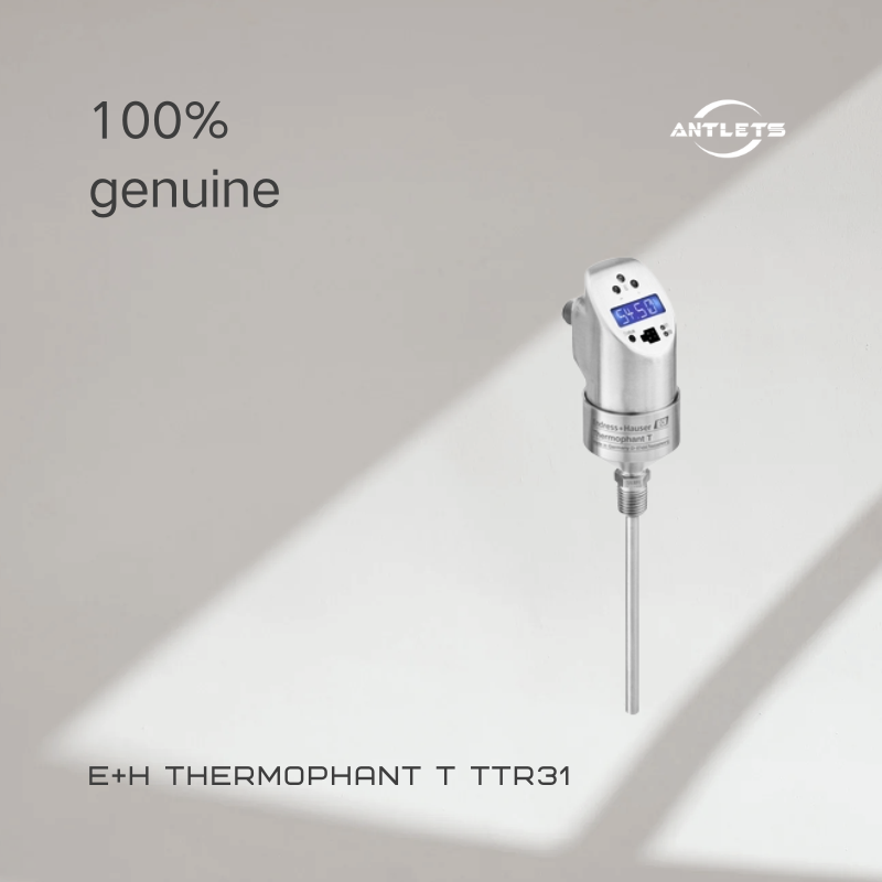 Endress+Hauser Thermophant T TTR31 Temperature switch