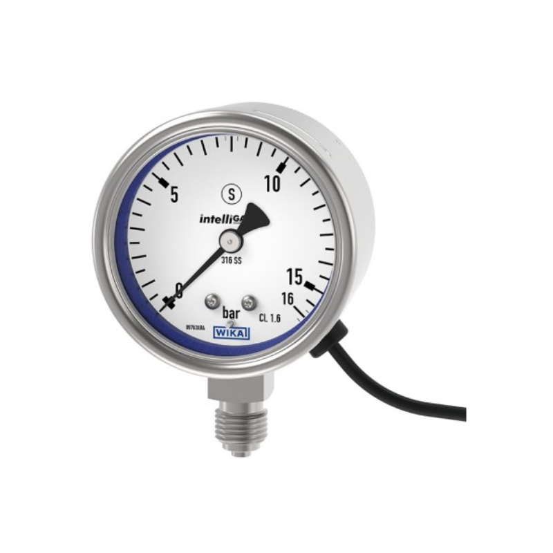 intelliGAUGE, model PGT23.063